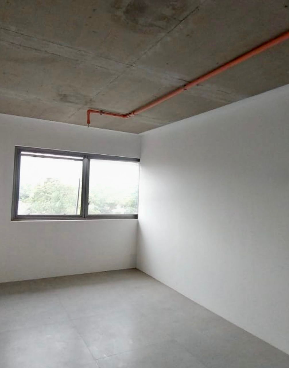 WhatsApp Image 2026-02-10 at 08.10.39