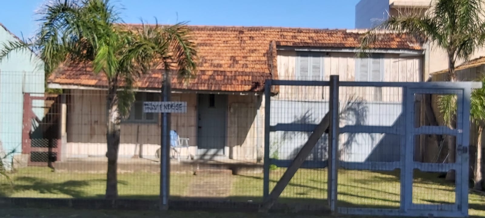 WhatsApp Image 2026-02-13 at 14.17.24