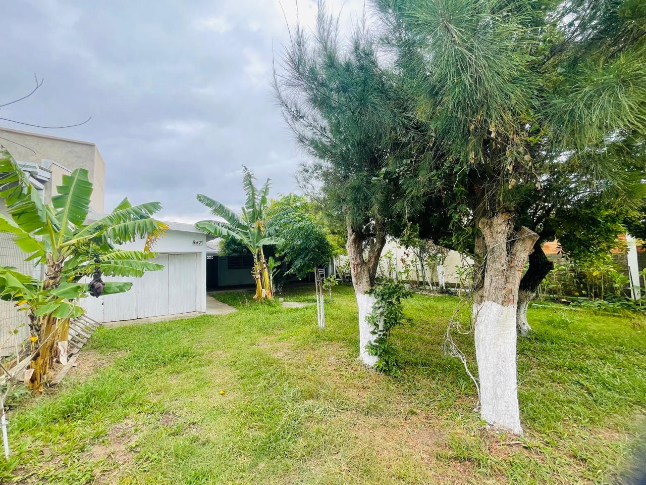 WhatsApp Image 2026-04-04 at 21.49.34