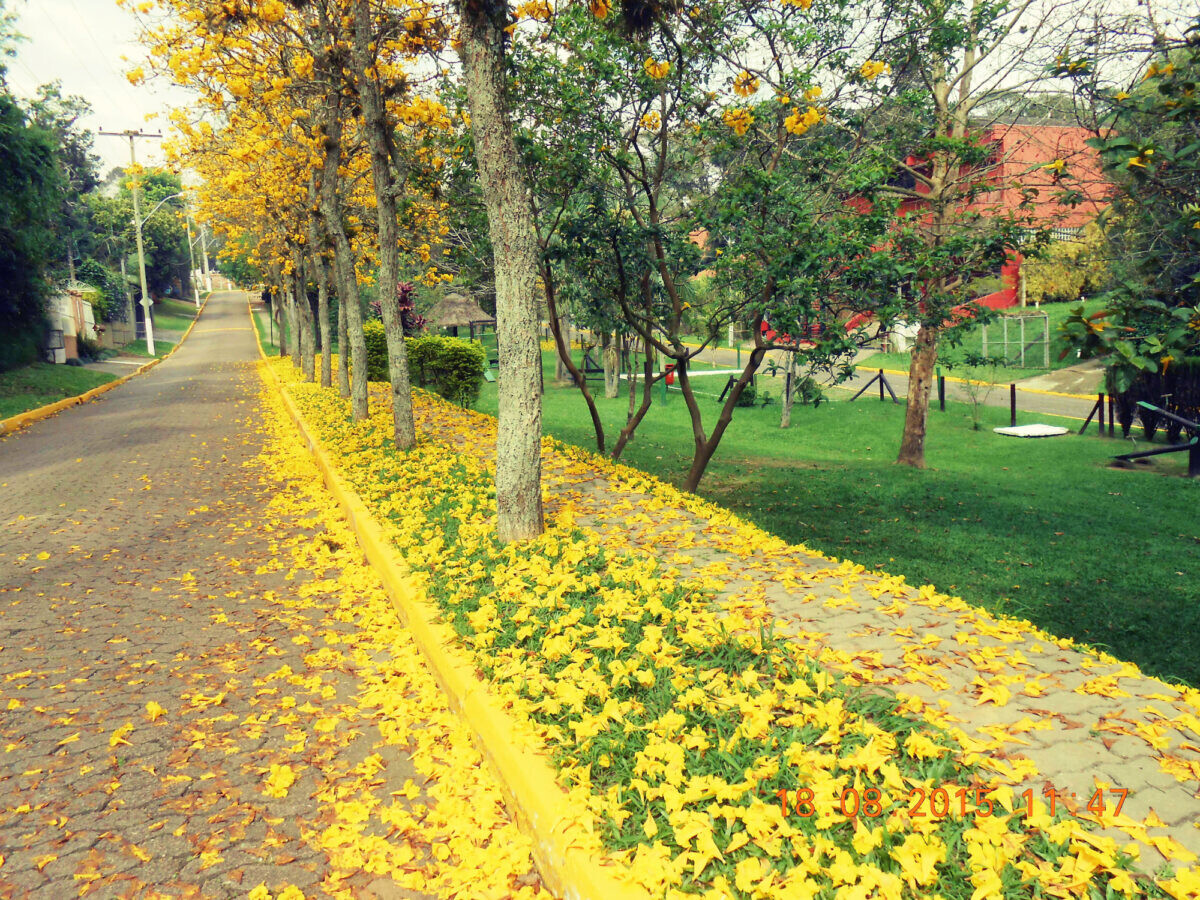 WhatsApp Image 2026-04-07 at 19.23.11