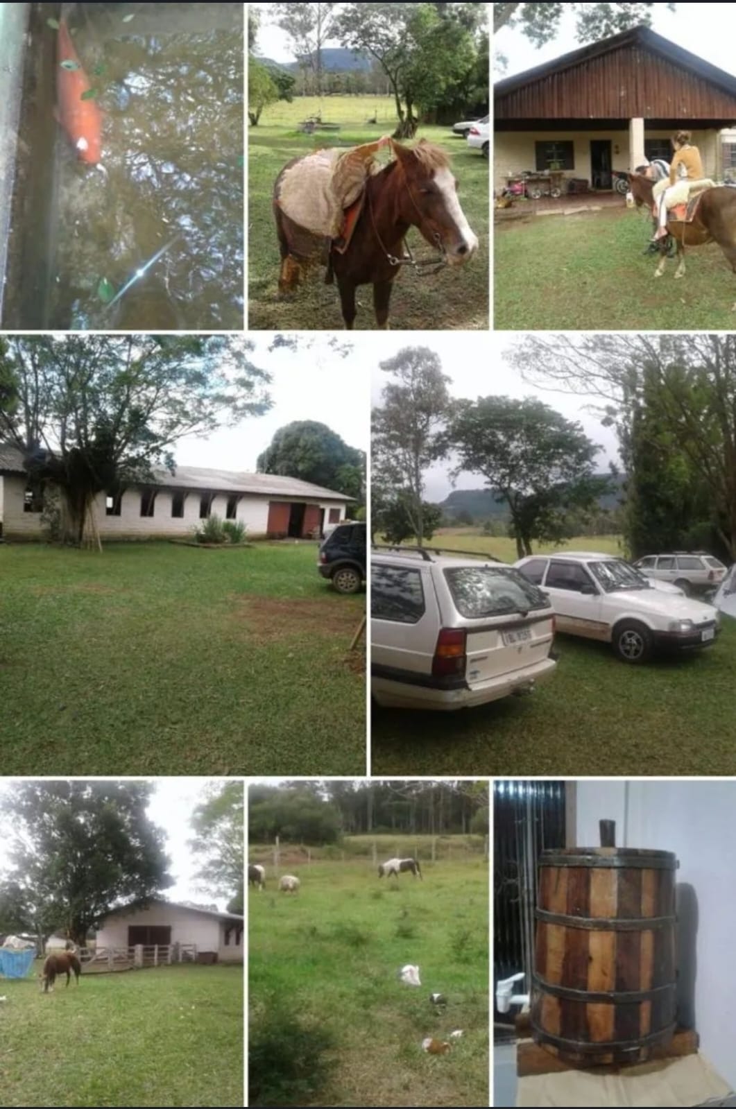 WhatsApp Image 2026-07-20 at 20.10.46 (2)